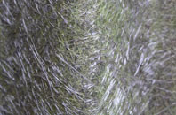 Great Altcar fibreglass roof work